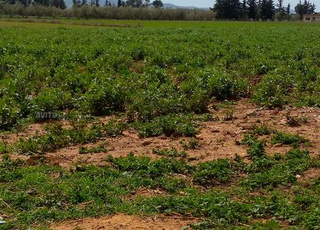 3 hectares et demi à vendre