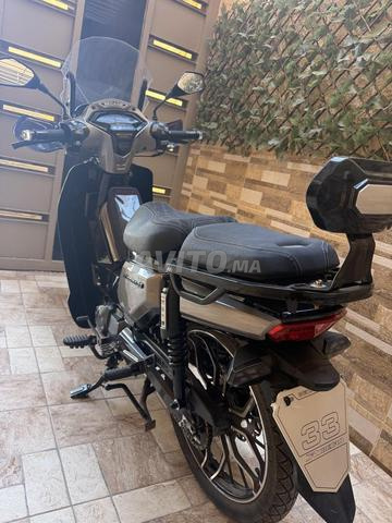 33 بيكان موديل 2025 - 2