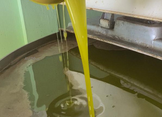 زيت زيتون بكر ممتاز