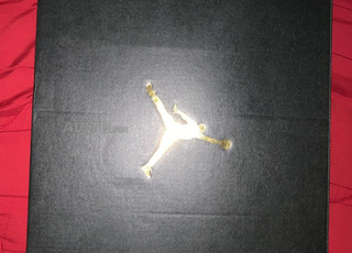 Jordan homme pointure 44,5