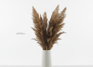 Marrakech Al Mahamid