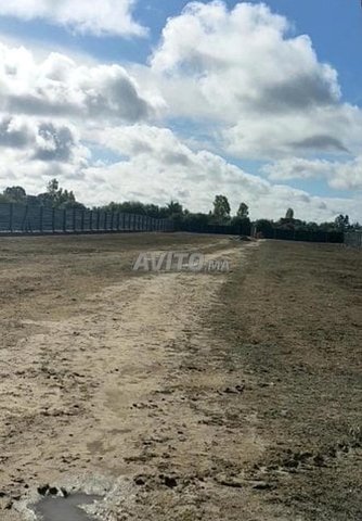 Terrain à vendre Douar Oulad Ghassem 5000 mètres