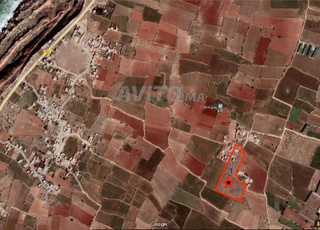 Terrain agricole douar boukhachba