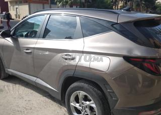 توسان جديدة