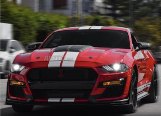 SHELBY GT 500 2019
