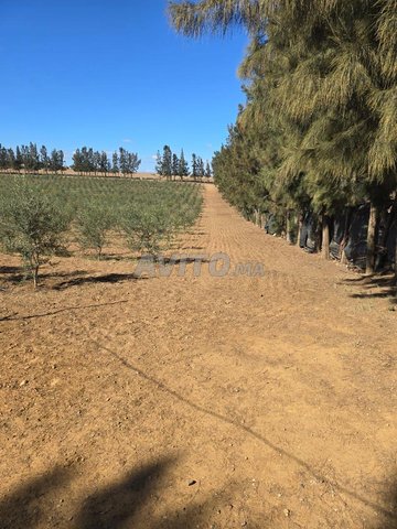 فرصة نادرة لمزرعة مجهزة بالقرب من الرباط