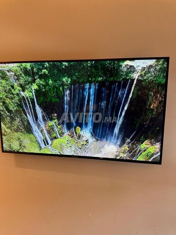 تلفزيون 50 بوصة