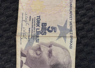 Billets de banque turcs