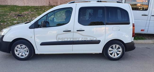 citreon birlingo 