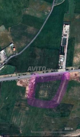 Vente terrain titré de 2 hectares sur route de 50 mètres - 2