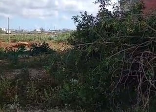 Vend terrain 100m à lotis Malak Sahel