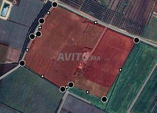 مزرعة للبيع