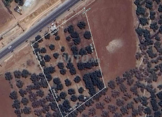 Terrain à vendre 6400 mètres sur la route 50,