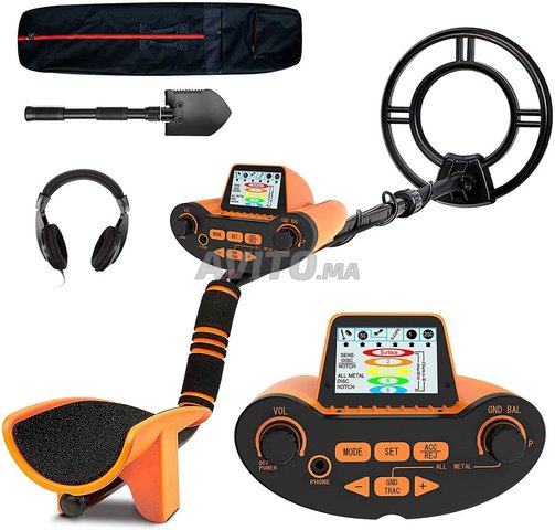 Détecteur de Métaux Professionnel écran couleur