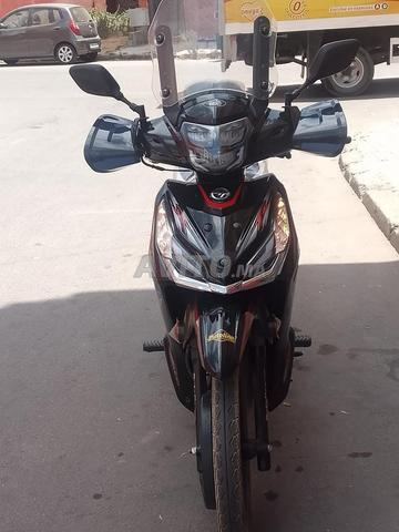 سانية باقة نقية يلاه داربة 4 أشهر / 6000 كم