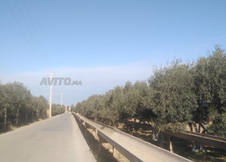 Terrain à vendre à Bouarg (بوعرك), 4hiktar