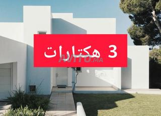 3 هكتارات للبيع بزايدة إقليم ميدلت