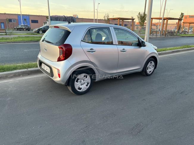 kia picanto  