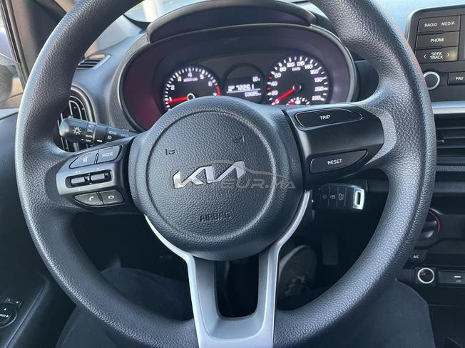 kia picanto  