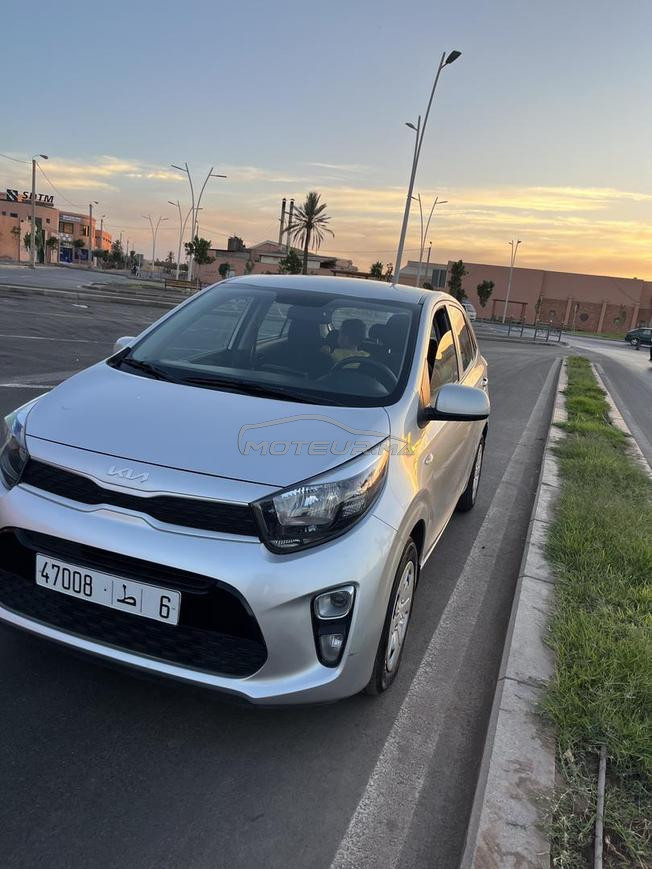 kia picanto  