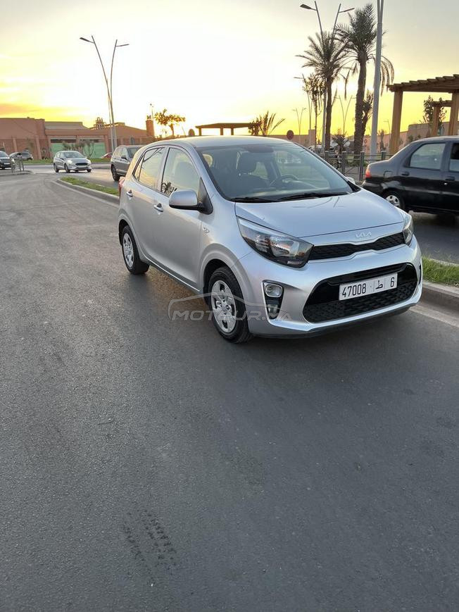 kia picanto  