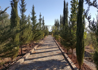À vendre ferme titrée 3,4ha - Rte Marrakech-Ouzoud
