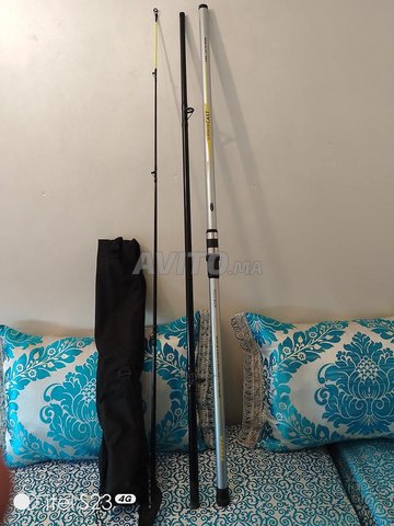 قصبة صيد Surfcasting