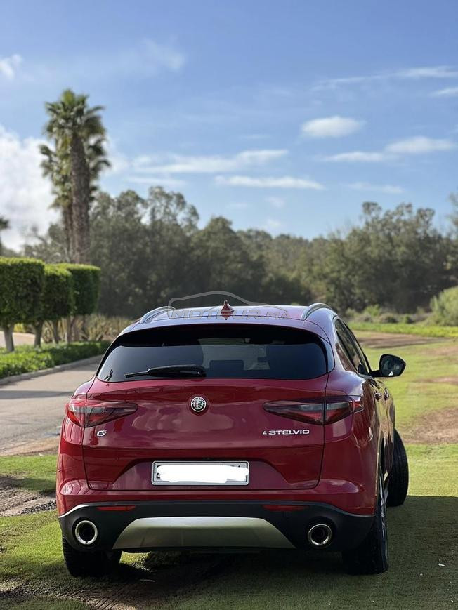Alfa Romeo Stelvio Diesel Automatique 2020