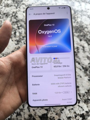 Oneplus 13