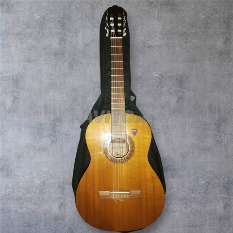 جيتار كلاسيكي Walden N350