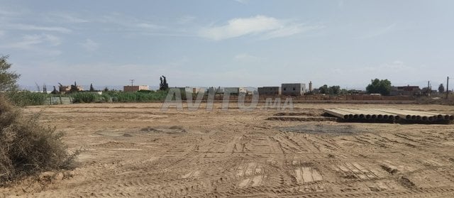 Terrain agricole enregistré de 3400 mètres carrés, intermédiaires s'abstenir