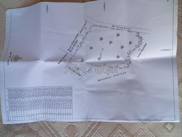 Terrain à vendre, province d'Essaouira avec tous les documents - 2