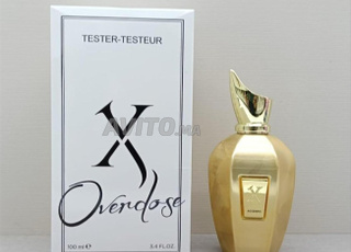 Des testeurs authentiques magnifiques