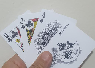 Paire de jeu poker, Rummy plastique