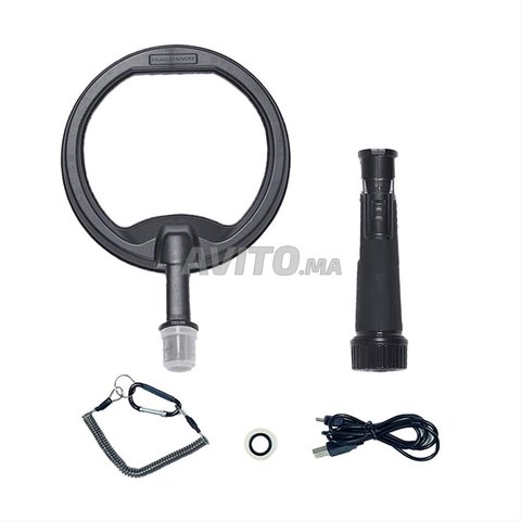 Nokta pulse drive -detecteur metaux