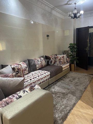 Canapé fauteuil en excellent état et tapis de qualité caniche