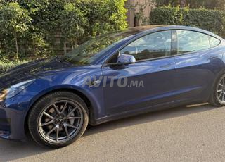 Tesla Model 3 Licorne (rare)