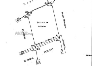 Terrain 1 hectare pour villa titré route Amezmiz