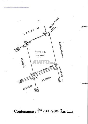 Terrain 1 hectare pour villa titré route Amezmiz