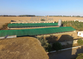 Ferme pour l'élevage de volailles