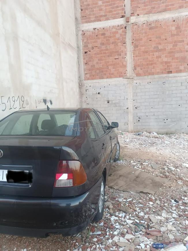  polo Golf
