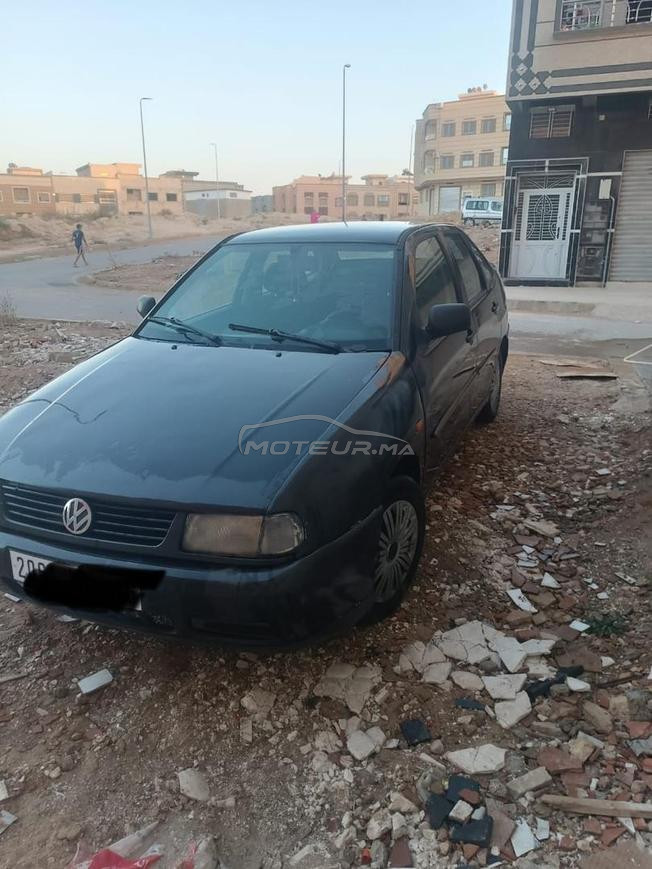  polo Golf