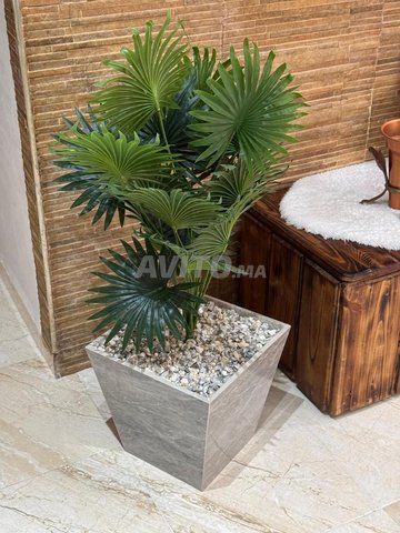 جمالية طبيعية تضوي دارك أطلب الآن