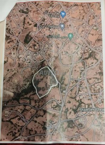 قطعة أرضية للبيع نواحي طنجة البالية منطقة تسمى الهرارش