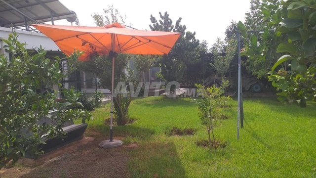 Terrain titré 3666 m² à Route Zaër