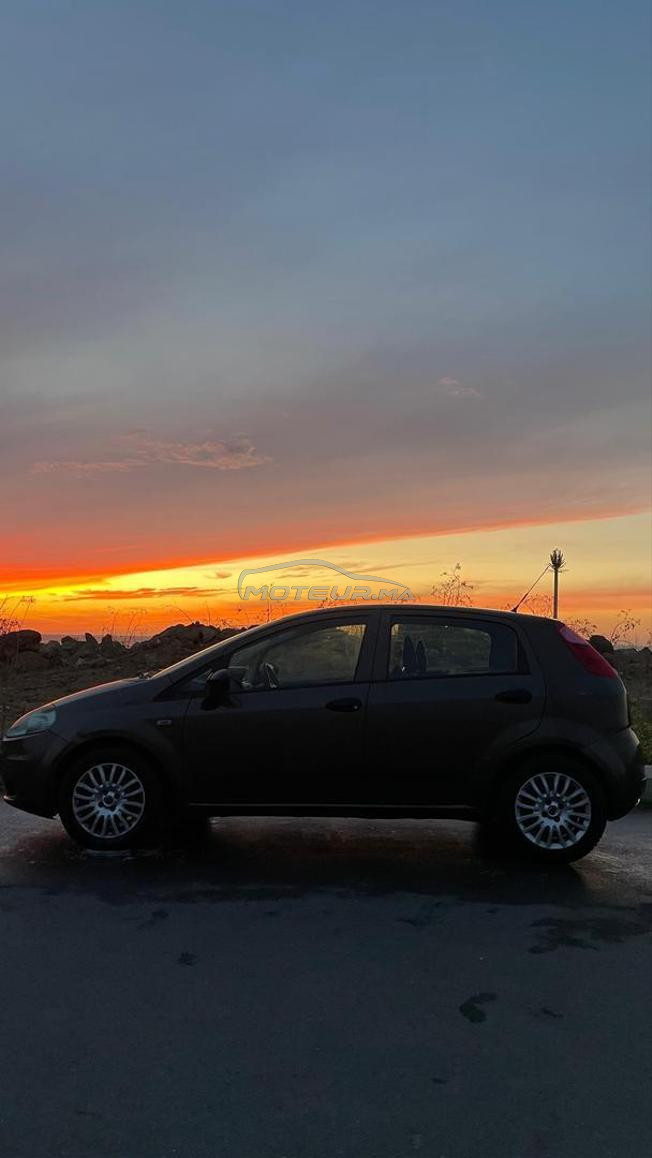 fiat punto