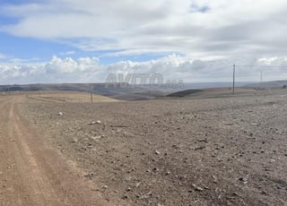 3 ha titré à 16 km de Benslimane NFAS IMMO