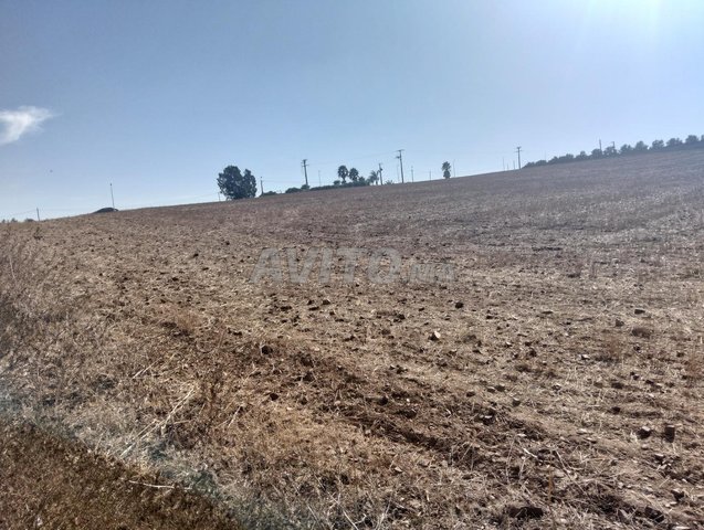 Terrain à vendre à Sidi Hiyi Zaer