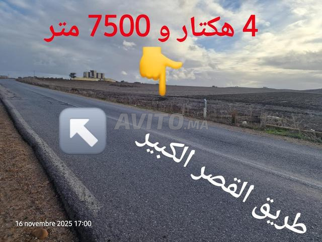 Offre terrain titré à vendre aux environs de Larache Douar Kharchfa