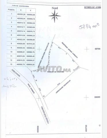 Hay Awama 2, Zenka 88, Zenka 01, Tanger - 2